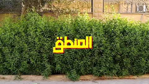 المنطق #ti̇ktok #explore #comedey #creative #video 