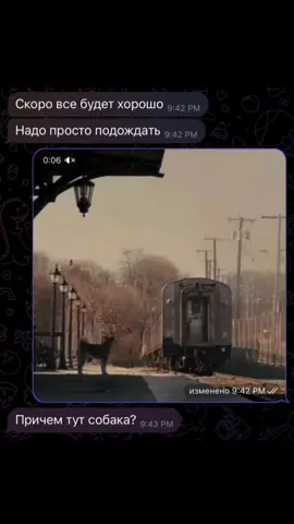 Хатико был псом породы акита-ину, который прославился своей исключительной преданностью, в течение 9 лет встречая на вокзале мертвого хозяина. Его история стала символом верности в Японии, где ему установлен памятник на станции Сибуя, который является популярным местом встреч. История Хатико была неоднократно экранизирована, самый известный фильм — «Хатико: самый верный друг». 