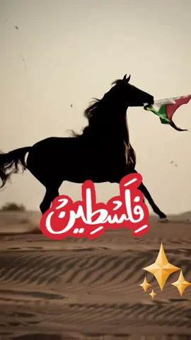 فلسطين  #فلسطين #فلسطين🇵🇸 #القدس #الشعب_الصيني_ماله_حل😂😂 #غزة_العزة🇵🇸 