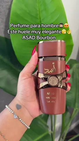 #perfumesmasculinos #giftidea #tiktokshopblackfriday #tiktokshopcybermonday #tiktokshopcreatorpicks 