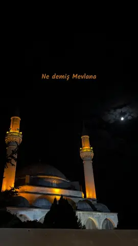 İnsanlar seni yanlış anladı diye dert etme… . . . . #şair #şiir #edebiyat #söz #müzik #doğa #istanbul #türkiye #keşfet #fyp #tiktokviral 