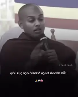 නිකන් බොරැවට විදවන්න එපා බුදු සරනයි තෙරැවන් සරනයි දෙවි පිහිටයි මෙි ලෝ වාසි සියලු දෙනාට ආරක්ෂාවයි අාශිර්වදයි 🙏🌼🏵️🌸🌷🌺🙏