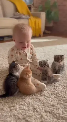 #cat #baby 