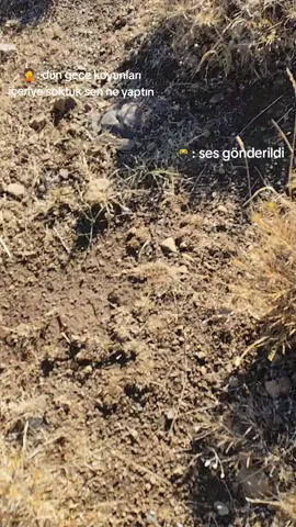 samanda pahalıdır ma 😅 @enso☠️💀 @Eyüp 12 @Çirkin Kral 