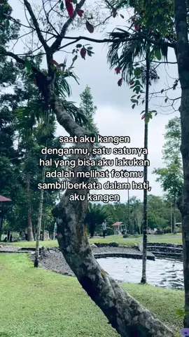 #kangen #fyppp #masukberanda #sadstory🥀 #gamonbrutal 