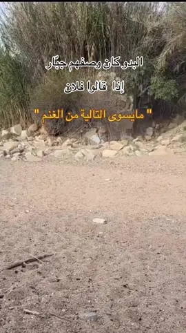 البدو وصفهم جبّار 😴👌🏻
