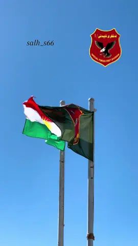#kurdistan🇹🇯️ #peshmarga #pirmammasif #farmanda_mansour_barzani #nzari 😍