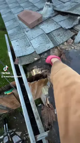 Roofing leak #roofrepair #ruferos #roofer 