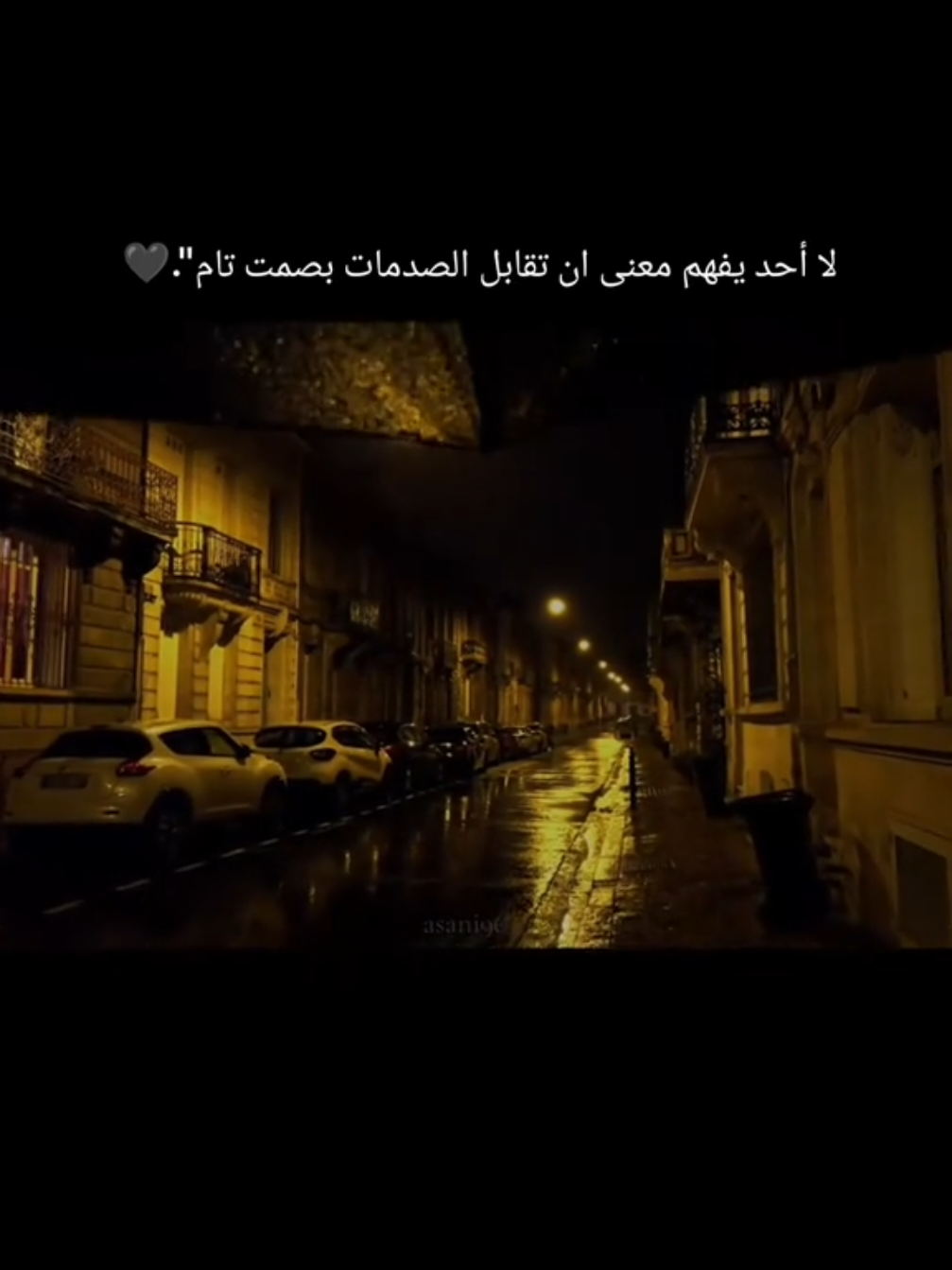 ‏لا أحد يفهـم معنى ان تقابـل الصدمات بـصمت تام