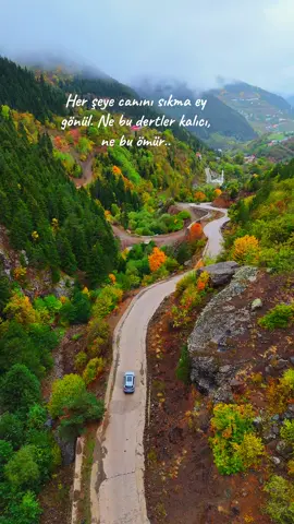 #trabzon#ekim#sonbahar
