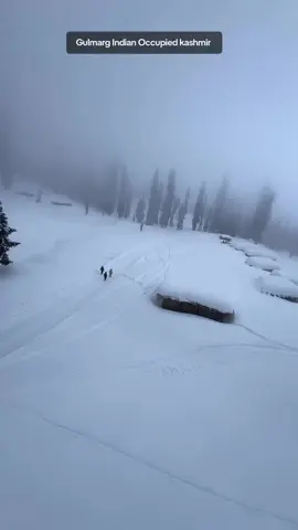 #Gulmarg #Indian #Occupied #kashmir 