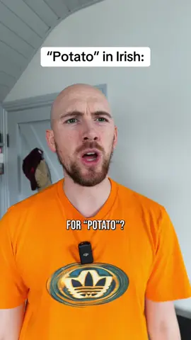 We love our spuds! 🥔 #ireland #irish #gaeilge #irishlanguage #comedy 