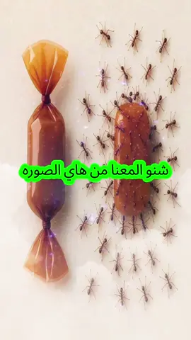 #في هذا اليوم #الشعب_الصيني_ماله_حل😂😂 #واسط_كوت 