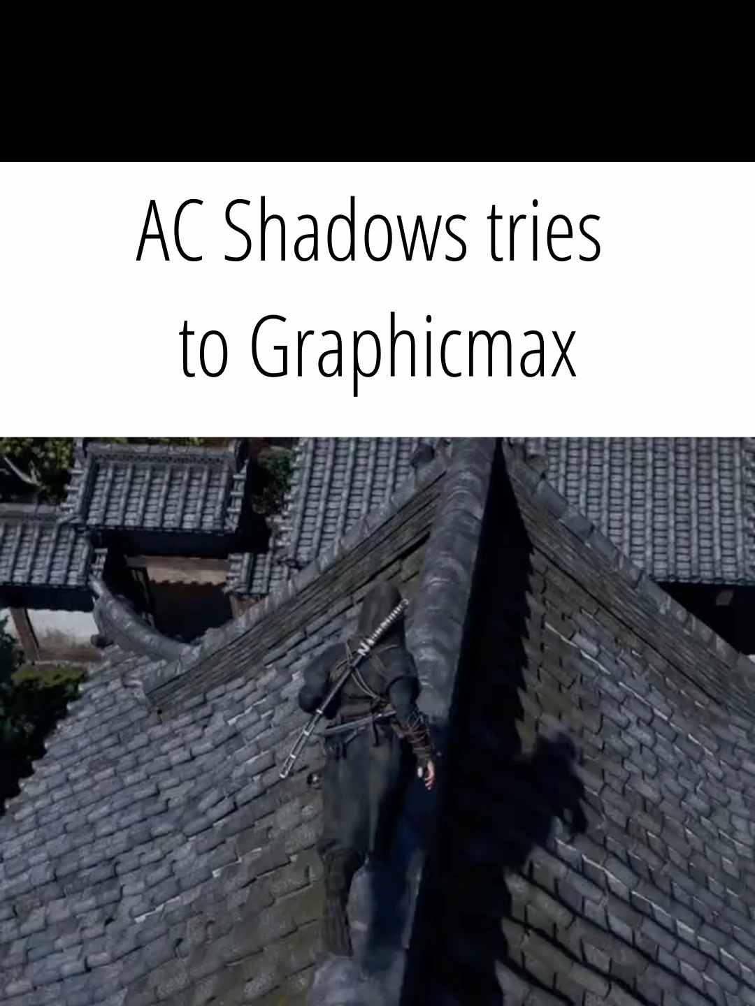 Yotei mogs #ghostofyotei #assasinscreed #shadow #maxxing #mogging