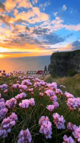 Todo lo que parece un fin, siempre es el comienzo de algo #agradece #perdona #suelta #y #continua 