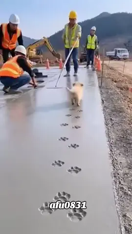 #粉丝一千万 #pet #pets #cute #dog #funny #funnyvideos #foryou #viral #IoI #fyp 