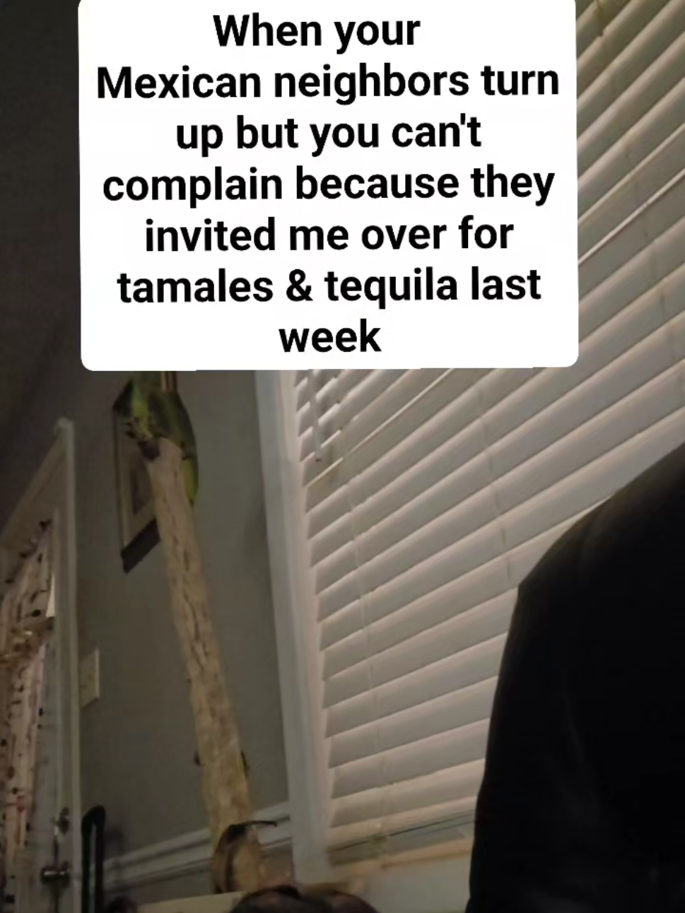 When your Mexican Neighbors turn up   Hispanic heritage month be lit  #HispanicHeritageMonth #comedy #fyp  #mexicanfood 