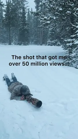 2026 wildlife calendars available at isaacspicz.com #raven #got #fyp #foryou #wildlifephotography 