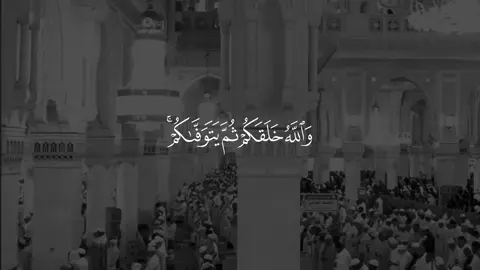 ﴿وَاللَّهُ فَضَّلَ بَعضَكُم عَلى بَعضٍ فِي الرِّزقِ فَمَا الَّذينَ فُضِّلوا بِرادّي رِزقِهِم عَلى ما مَلَكَت أَيمانُهُم فَهُم فيهِ سَواءٌ أَفَبِنِعمَةِ اللَّهِ يَجحَدونَ﴾  والله فَضَّل بعضكم على بعض فيما أعطاكم في الدنيا من الرزق، فمنكم غني ومنكم فقير، ومنكم مالك ومنكم مملوك، فلا يعطي المالكون مملوكيهم مما أعطاهم الله ما يصيرون به شركاء لهم متساوين معهم في المال، فإذا لم يرضوا بذلك لأنفسهم، فلماذا رضوا أن يجعلوا لله شركاء مِن عبيده؟ إن هذا لَمن أعظم الظلم والجحود لِنعم الله عز وجل. التفسير الميسر.  تلاوة من تراويح ليلة 13 رمضان 1436  #بندر_بليلة #سورة_النحل #قرآن #تلاوات #الحرم_المكي 