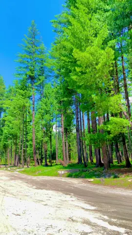 Kumrat valley 🏞️✈️💯#foryoupage🐎 #viraltiktokvideo #fypシ゚viral🖤tiktok☆♡🦋myvideo #🥀🖤 #🥀viralvideo😘love🐉 