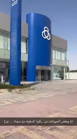 #المملكه_العربيه_السعوديه🇸🇦 #الشعب_الصيني_ماله_حل😂😂 #الافنيوز_الكويت #مشاهدات_تيك_توك #مشاهدات 