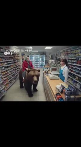 #grandma #ai#bear #sora 