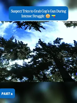 #cops #copsoftiktok #copsontiktok #copstiktok #foryou 