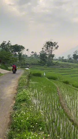 #nature #jawatimur #alam 