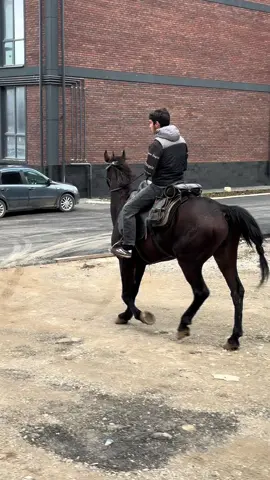 Аллахуммабарик #къ знак качества 💪