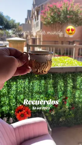 #Recuerdos #avalon #addison 