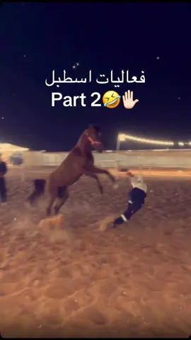 #خيل_وخياله🐎 #fpy #like #خيل @Hala stable 