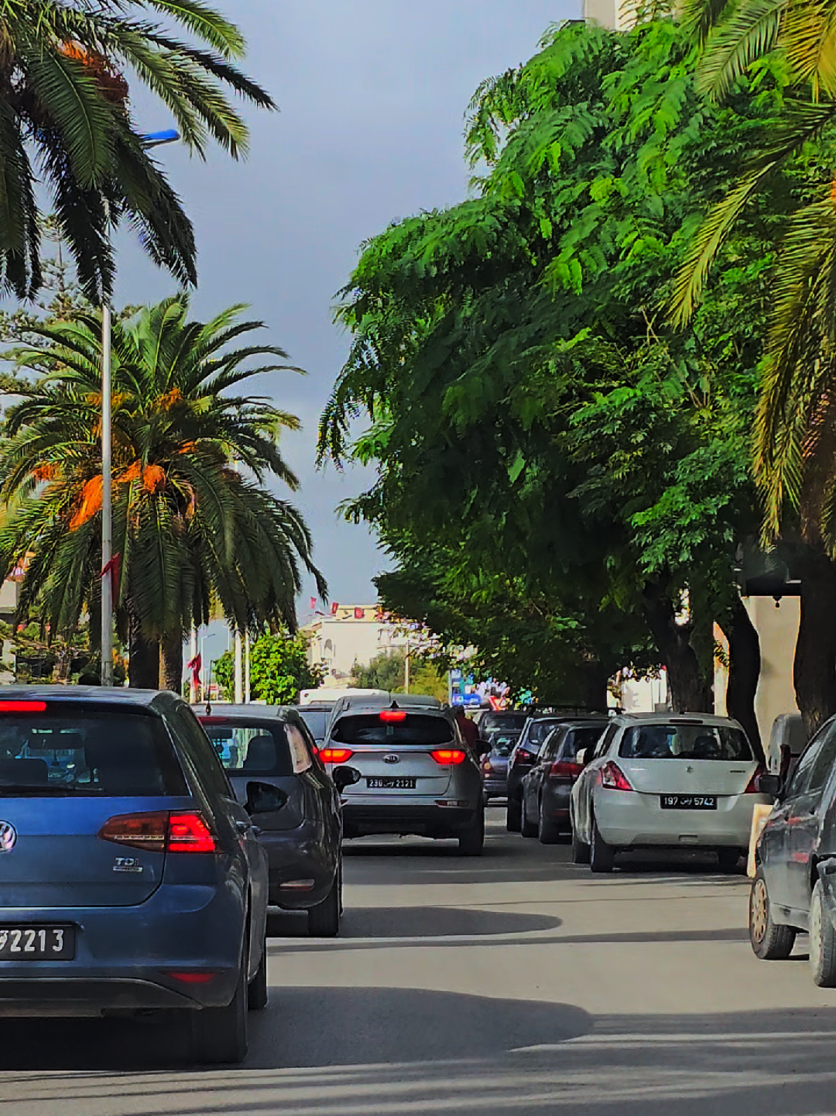 Nabeul 🇹🇳 ❣️🍊 🍇