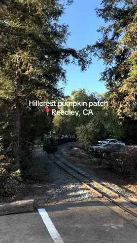 My fav pumpkin patch! 🎃 #reedley #559 #pumpkinpatch #fall #fyp 