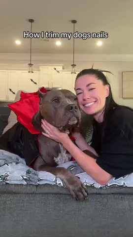 Now it’s my turn 😂 #dogsofttiktok #americanbully #funnydog 