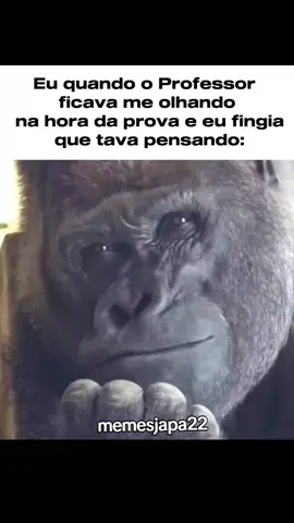 verdade #flying #creatorsearchinsights #memes #titok 