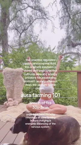 #yoga #adhdtiktok  #neurodivergent #adhdinwomen #StressRelief 