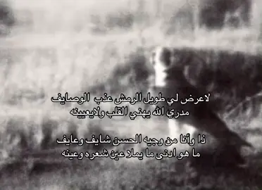 شيلات#قصايد #شعب_الصيني_ماله_حل😂😂 