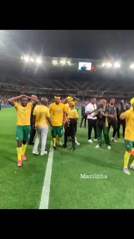 #southafrica #fifaworldcup #fyp #viral 