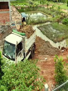 Real Site Action 🚧 Bulldozer Pushing Soil Into Pond#roadbuilding #landdevelopment #bulldozer #dozerlife #excavator #dumptruk #truck #powerful