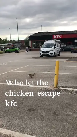 #escape #chicken #food #kfc  #fyp pls tell me you understand