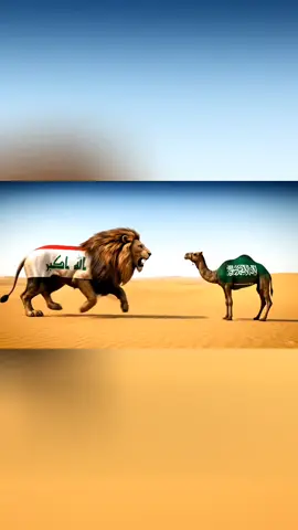 دعواتكم للمنتخب الوطني العراقي #المنتخب_العراقي #اسود_الرافدين #capcut #fyp 