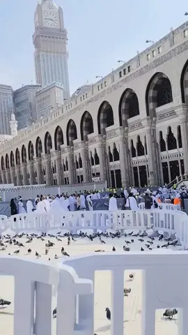 ♥️🕋Radhitu Billahi Robba♥️🕋 #islamiccontent #islamic_video #capcuttemplate #foryoupage #creatorsearchinsights 