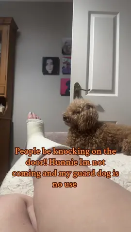 People knocking on the door when. You have a broken leg the awkward moment #brokenankle #cast #surgery #anxiety #dog 