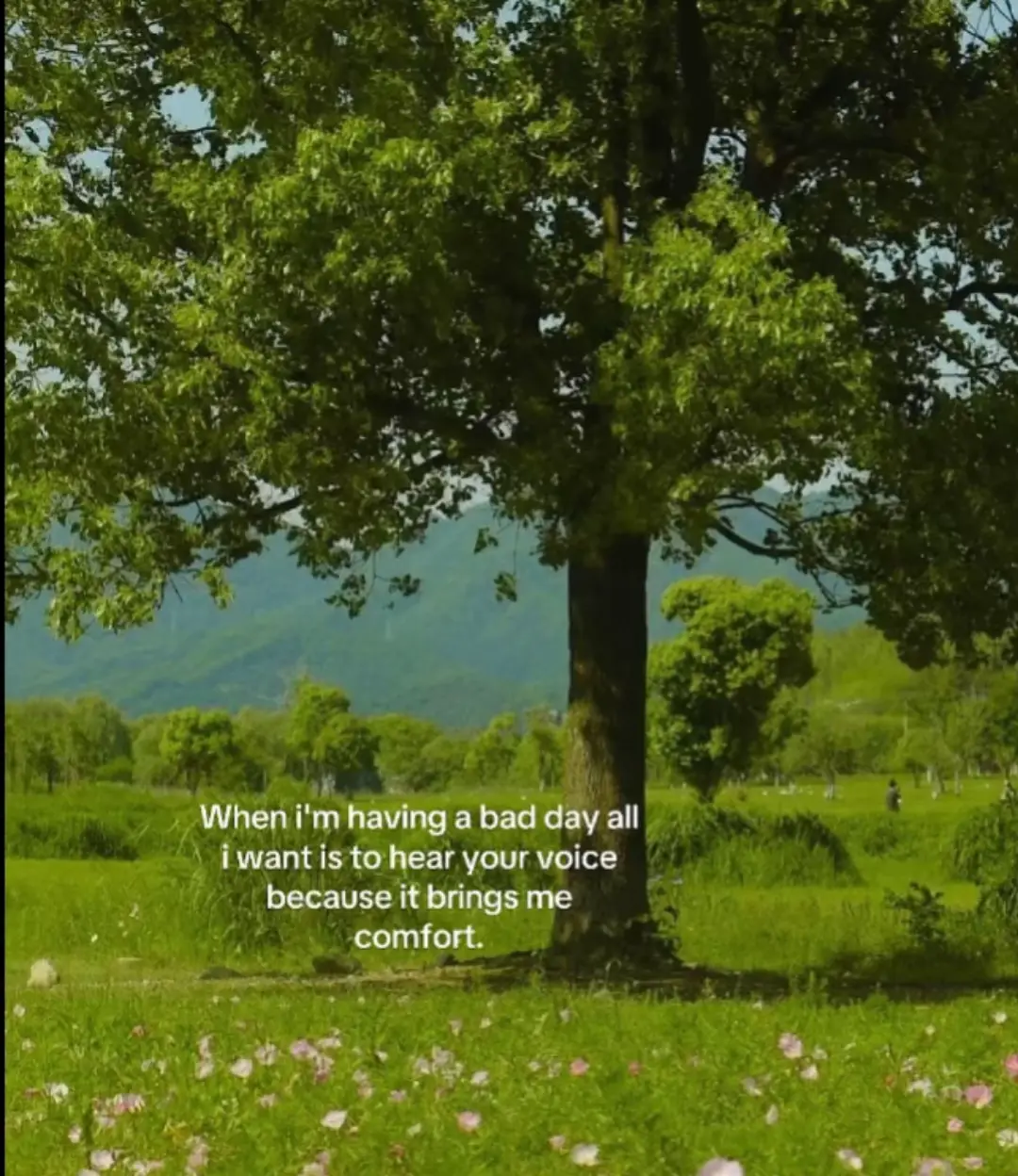 #highlikes #boyfriend #taken #ilovemyboy #fyp @Bertie :) 