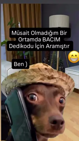 #🤣🤣🤣 