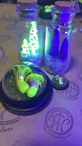 Big order this time! 