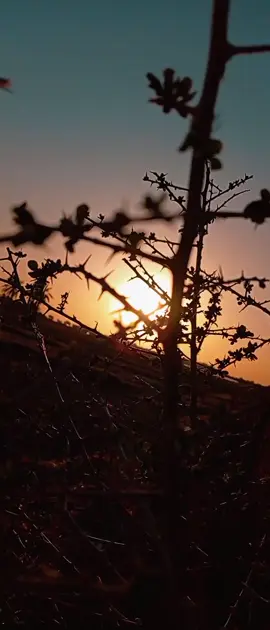 بزلاتك اضم رتك ضمير تصير #🤎💔📜 الشاعر سمير صبيح #🤎💔📜 #