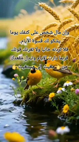 #علام_تعجب_منكم_علاما #مغيث #مستغيث #الإنتقام #الظلم 