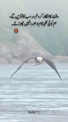 #foryoupageofficiall #foryoupageofficiall #100k #100k #foryourpage 