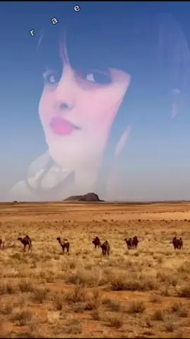 ياشبه صفرنٍ درهمت قدم الحلال  ‏فكوا لهـا  المقهور وانوو بالشديد ❤️‍🔥 #اكسبلور #تصميمي🎬 #تيك_توك_لايف 